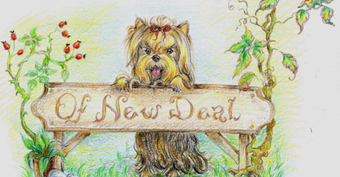 Of New Deal yorkshire terrier kennel